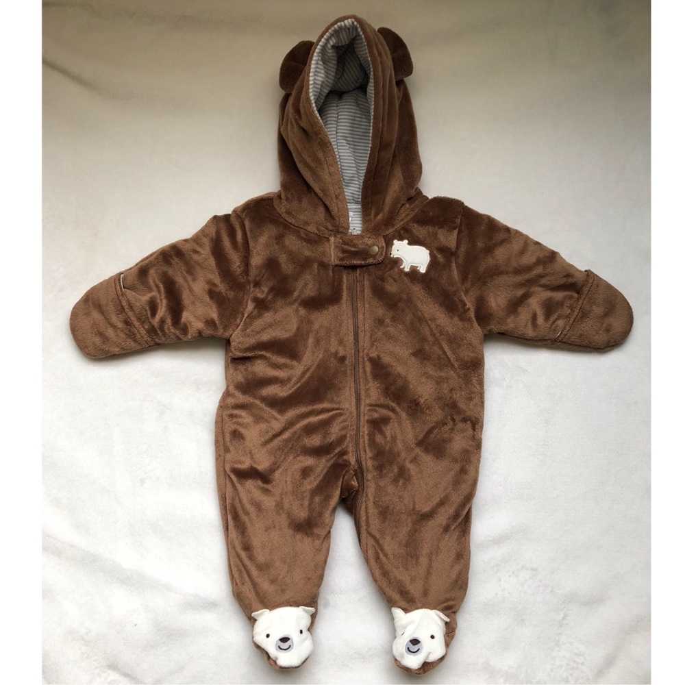 Teddy bear baby bunting